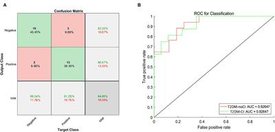 Convolutional Neural Networks for Classification of T2DM Cognitive Impairment Based on Whole Brain Structural Features